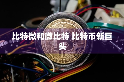 比特微和微比特 比特币新巨头