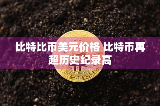 比特比币美元价格 比特币再超历史纪录高