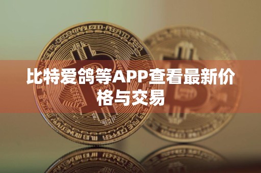 比特爱鸽等APP查看最新价格与交易