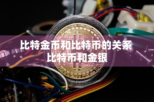 比特金币和比特币的关系 比特币和金银