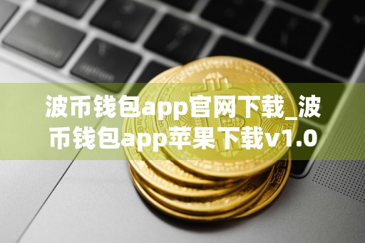 波币钱包app官网下载_波币钱包app苹果下载v1.0