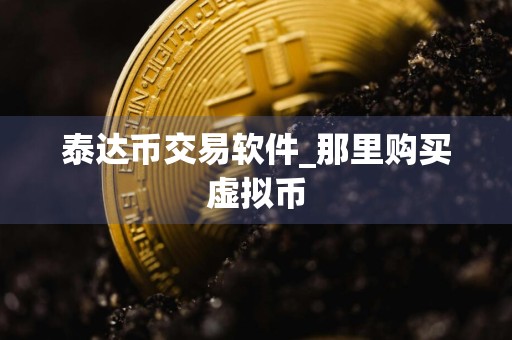 泰达币交易软件_那里购买虚拟币