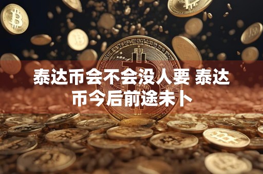 泰达币会不会没人要 泰达币今后前途未卜