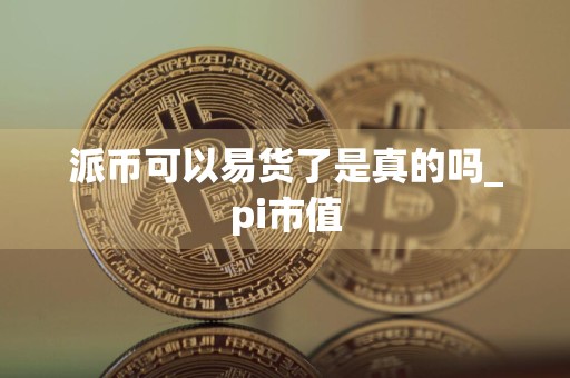 派币可以易货了是真的吗_pi市值
