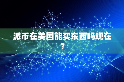 派币在美国能买东西吗现在？