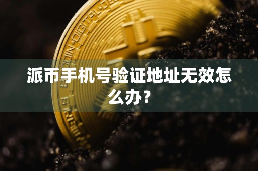 派币手机号验证地址无效怎么办?