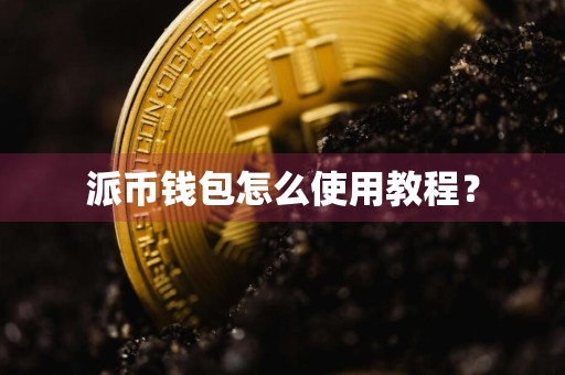 派币钱包怎么使用教程？