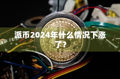 派币2024年什么情况下涨了？