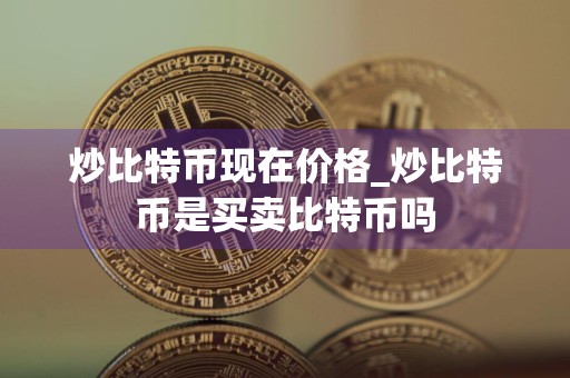 炒比特币现在价格_炒比特币是买卖比特币吗
