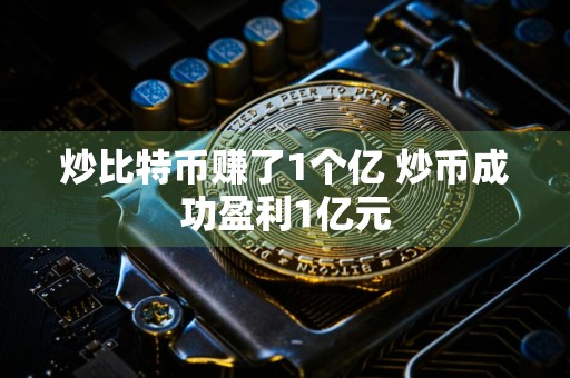 炒比特币赚了1个亿 炒币成功盈利1亿元