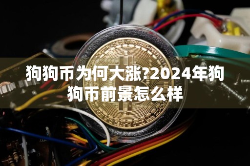 狗狗币为何大涨?2024年狗狗币前景怎么样