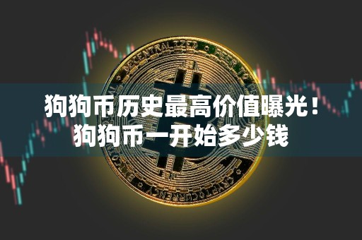 狗狗币历史最高价值曝光!狗狗币一开始多少钱