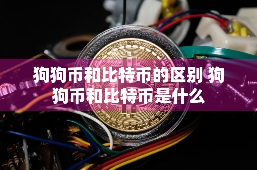 狗狗币和比特币的区别 狗狗币和比特币是什么