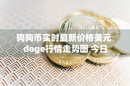 狗狗币实时最新价格美元 doge行情走势图 今日