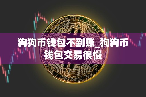 狗狗币钱包不到账_狗狗币钱包交易很慢