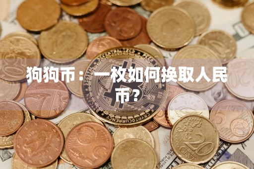 狗狗币:一枚如何换取人民币?