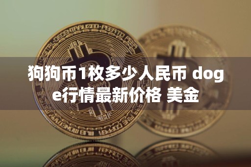 狗狗币1枚多少人民币 doge行情最新价格 美金