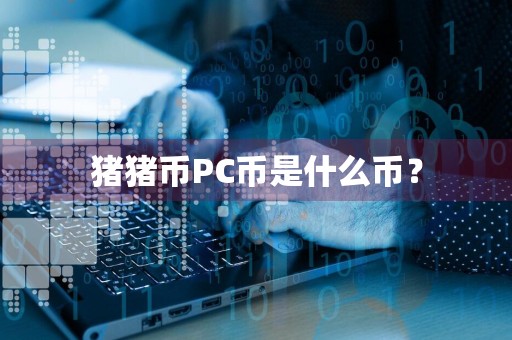 猪猪币PC币是什么币？