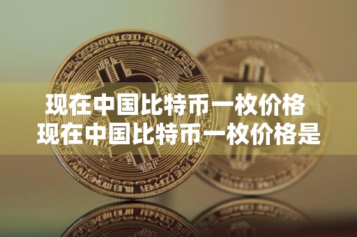 现在中国比特币一枚价格 现在中国比特币一枚价格是多少