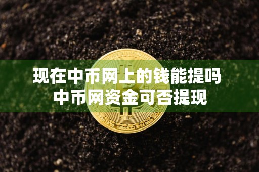 现在中币网上的钱能提吗 中币网资金可否提现