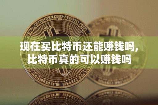 现在买比特币还能赚钱吗,比特币真的可以赚钱吗