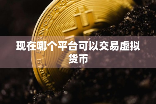现在哪个平台可以交易虚拟货币