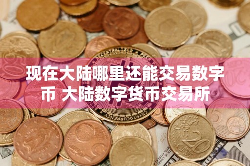 现在大陆哪里还能交易数字币 大陆数字货币交易所
