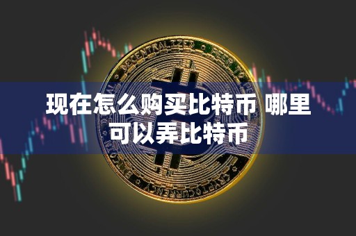 现在怎么购买比特币 哪里可以弄比特币