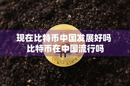 现在比特币中国发展好吗 比特币在中国流行吗