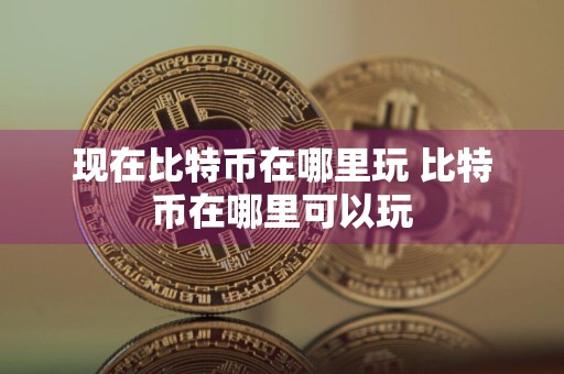 现在比特币在哪里玩 比特币在哪里可以玩