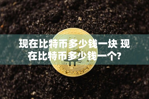 现在比特币多少钱一块 现在比特币多少钱一个?