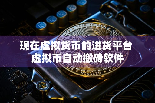 现在虚拟货币的进货平台 虚拟币自动搬砖软件