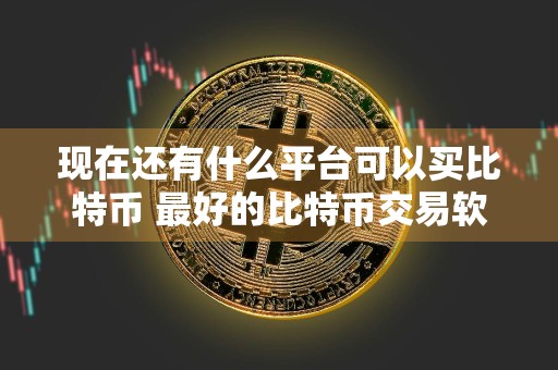 现在还有什么平台可以买比特币 最好的比特币交易软件