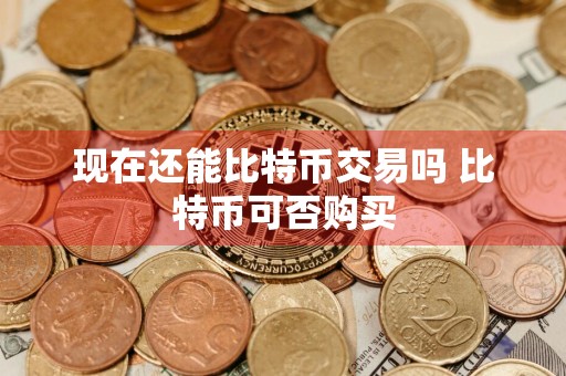 现在还能比特币交易吗 比特币可否购买