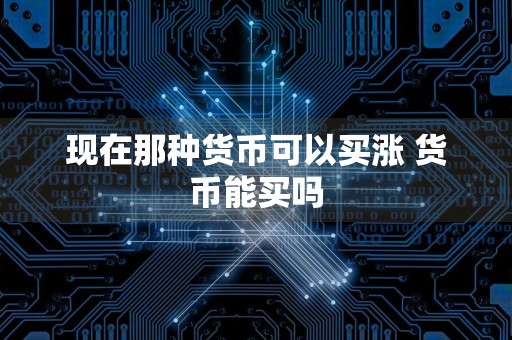 现在那种货币可以买涨 货币能买吗