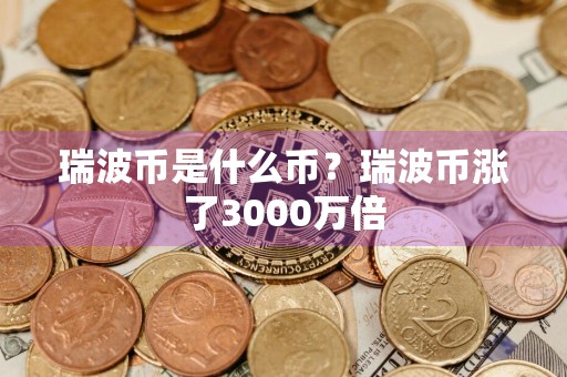 瑞波币是什么币？瑞波币涨了3000万倍