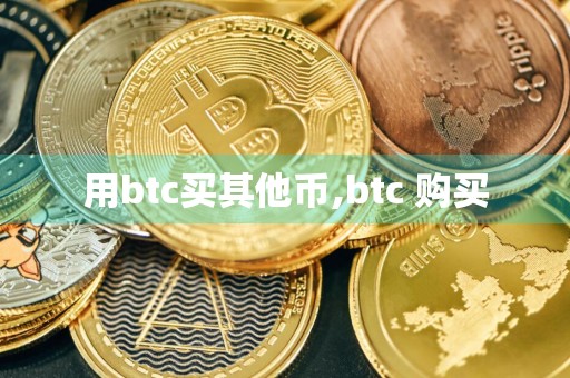 用btc买其他币,btc 购买