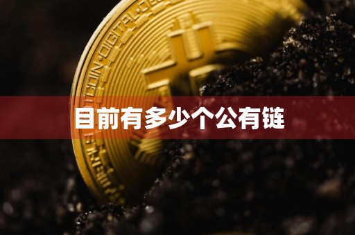 目前有多少个公有链