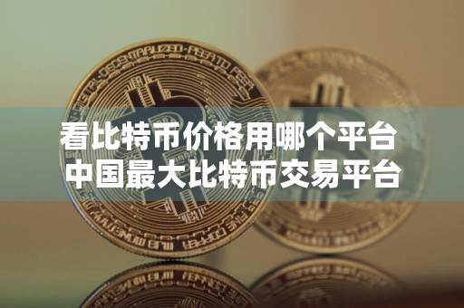 看比特币价格用哪个平台 中国最大比特币交易平台