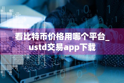 看比特币价格用哪个平台_ustd交易app下载