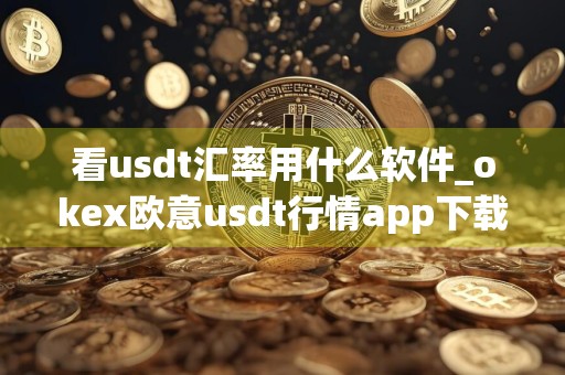 看usdt汇率用什么软件_okex欧意usdt行情app下载