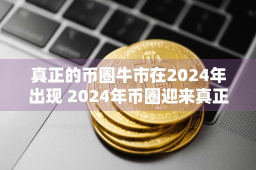 真正的币圈牛市在2024年出现 2024年币圈迎来真正牛市
