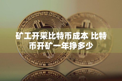 矿工开采比特币成本 比特币开矿一年挣多少