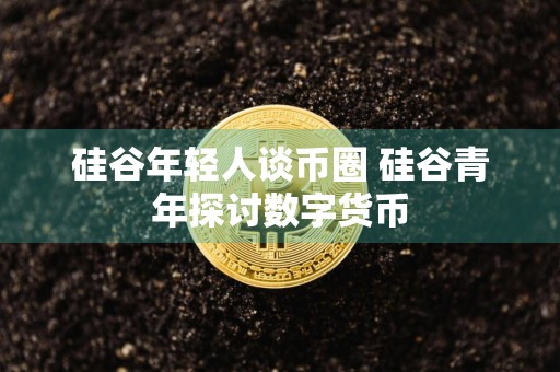 硅谷年轻人谈币圈 硅谷青年探讨数字货币