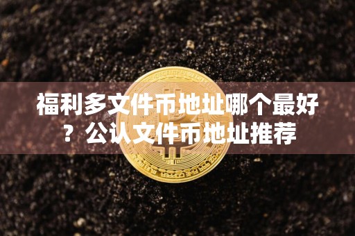 福利多文件币地址哪个最好？公认文件币地址推荐