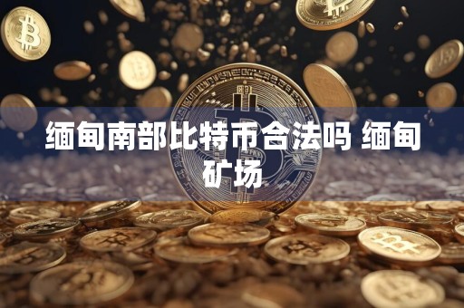 缅甸南部比特币合法吗 缅甸矿场