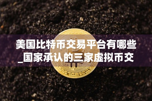美国比特币交易平台有哪些_国家承认的三家虚拟币交易所