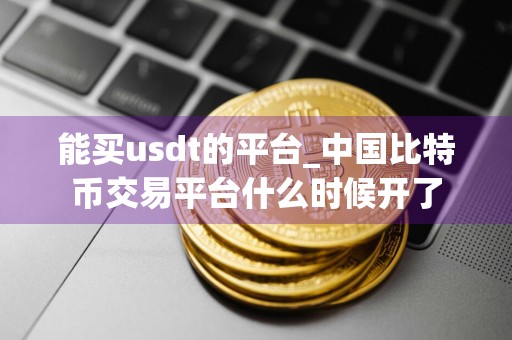 能买usdt的平台_中国比特币交易平台什么时候开了