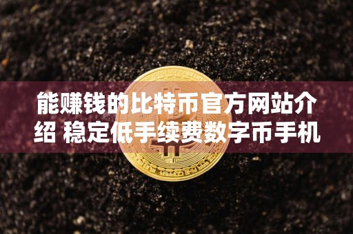 能赚钱的比特币官方网站介绍 稳定低手续费数字币手机钱包交易量排名