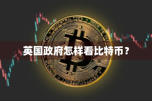 英国政府怎样看比特币？